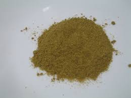 Manufacturers Exporters and Wholesale Suppliers of Coriander Powder Tuticorin Tamil Nadu